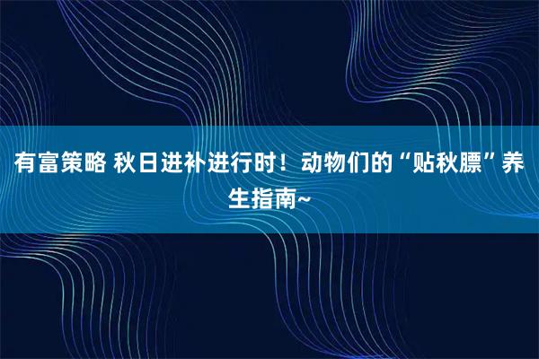有富策略 秋日进补进行时！动物们的“贴秋膘”养生指南~