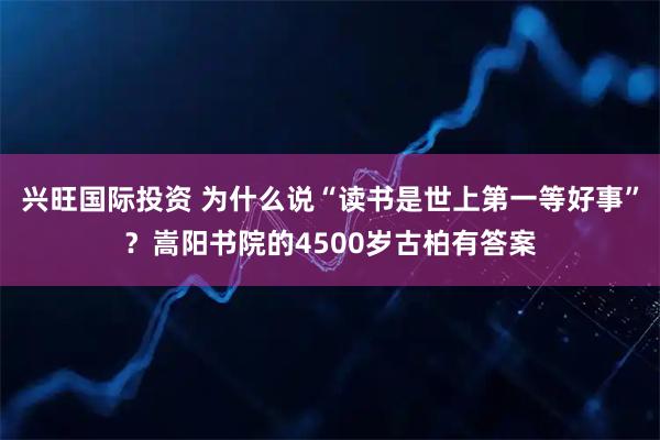 兴旺国际投资 为什么说“读书是世上第一等好事”？嵩阳书院的4500岁古柏有答案